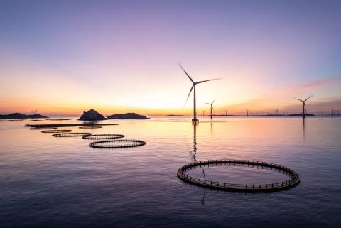 Marine ranching in China