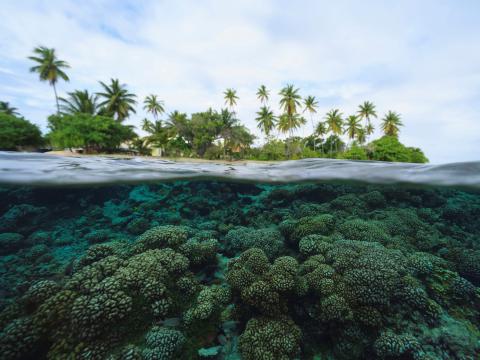 Tropical island above vibrant coral reef underwater.